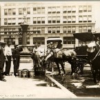 Watering horses on a hot day in July 1911. (Library of Congress, Prints & Photographs Division)