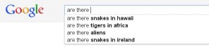 While uses of Google.com are somewhat worried about whether or not St. Patrick did his job with the snakes....