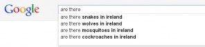 ....Google.ie reveals that Irish people are much more concerned about what's lurking in their own back gardens. 
