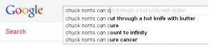 There is little Chuck Norris can't do, and Google knows it. 