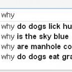 A lot of dog curiosity going on...