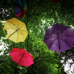 (Image: Stephen Kilkenny/LightCurvePhoto)