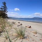 (Image: Sotheby's International Realty)