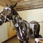 Racehorse