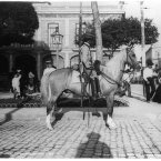 A policeman and his mount. Photo taken between 1900 and 1906. (Library of Congress, Prints & Photographs Division)