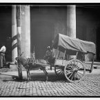 A merchant selling coconuts in Havana, between 1890 and 1910. (Library of Congress, Prints & Photographs Division)