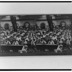 1903: Making pure Havanas, the world's most famous cigars, at the largest factory of Havana. (Library of Congress, Prints & Photographs Division)