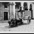 1903: A meat wagon in Havana. (Library of Congress, Prints & Photographs Division)