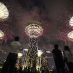 Supertrees light up the financial skyline from the newly opened Gardens By The Bay during a light and sound show in Singapore. (AP Photo/Wong Maye-E)