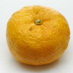 Yuzu: the Japonese grapefruit is said to replenish skin cells and give skin a fresher, younger look. Like other citrus fruits, its high dosage of Vitamin C strengthens the immune system and provides an excellent source of anti-oxidants. (Jpatokal/Wikimedia Commons)