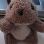 But even in teddy bear form, it's still pretty cute. (Flickr.Whisker/Flickr)