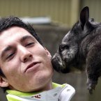 Even MotoGP rider Aleix Espargaro loves them. (AP Photo/Rob Griffith)