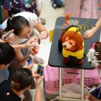 Working the crowd like a pro. (Photo by CDSB/Chinafotopress)