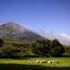 Looking up to the Mayo pilgrim haunt. Image: Chris Hill/Tourism Ireland.