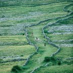 The Burren is a karst-landscape region in northwest co Clare. It is one of the largest karst landscapes in Europe and covers approx  250sq kms. Image: Nutan/Tourism Ireland.