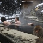 They let anyone into the hot springs nowadays. (AP Photo/Hiro Komae)