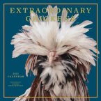 Well, who would want a calendar filled with plain old ordinary chickens? (Cover image via Amazon.co.uk)
