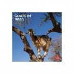 From the Goats in Trees 2013 calendar, it's, well, it's a goat in a tree. Obviously. (Calendar by browntrout.com)