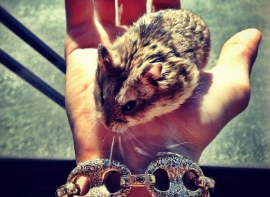 A picture of Pac posted by Bieber on Instagram around two months ago 