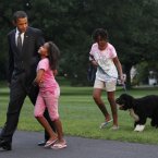 AP Photo/Gerald Herbert