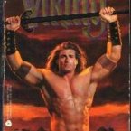 When Fabio started writing his own books, the covers were all about him.  Here he is with a sword as a viking.