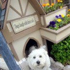 Even the dog gets a look in. (Image: James Curvan/Pinterest)