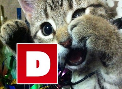 This is how excited we are about hiring.