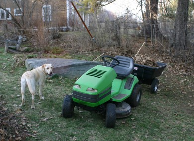 Not the lawnmower in question. (Also, the dog is innocent.)