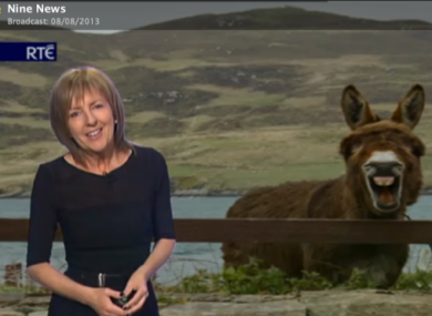 Evelyn Cusack and the way she might look at you...