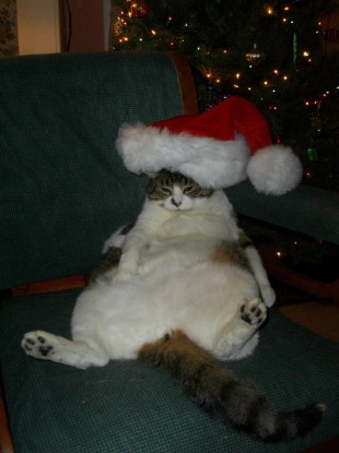 Humbug. 