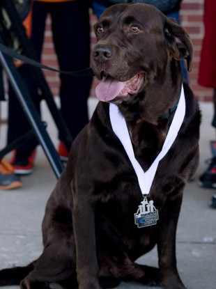 Boogie proudly displays his medal. 