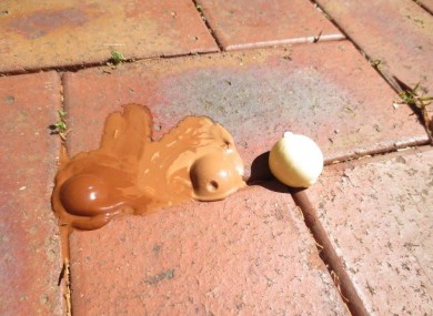 Which Lindt ball melts fastest in the 44°c Melbourne heat? 