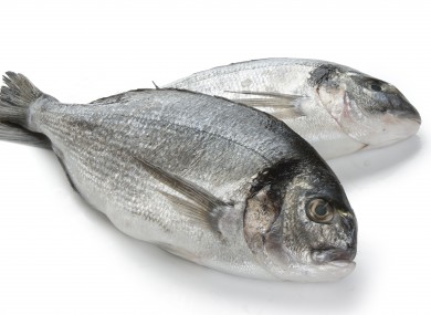 Some bream. Not THE bream. Just some bream.
