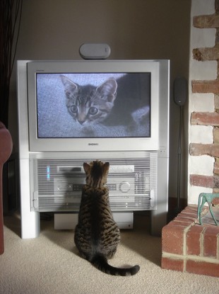 Lovely telly. 