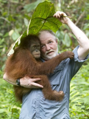George McGavin meets an unbearably cute orang-utan.