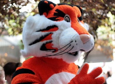 A person in a tiger costume. 