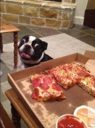 Oh, is that... is that pizza? 