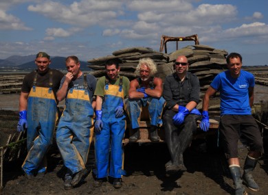 The oyster farmers