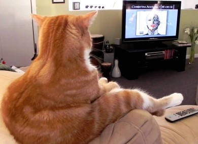 There's you now, watching the telly.