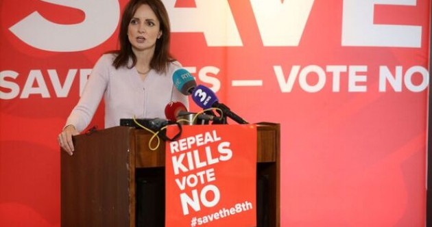 On the ballot? Independent candidates, including Maria Steen, to pitch to some TDs and senators