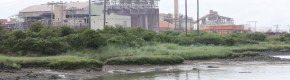 European Parliament votes to back ban on export of alumina to Russia as Fianna Fáil MEPs abstain